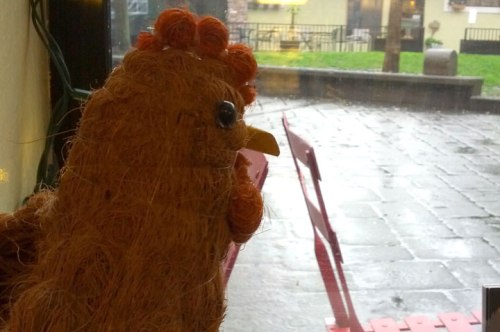 rainy day chicken